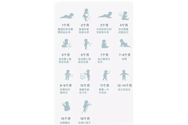 宝宝发育标准