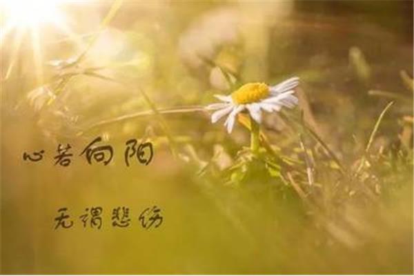 正能量的说说