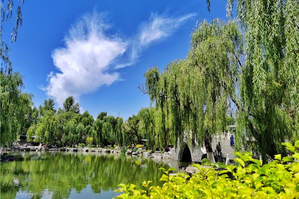 夏天的美景