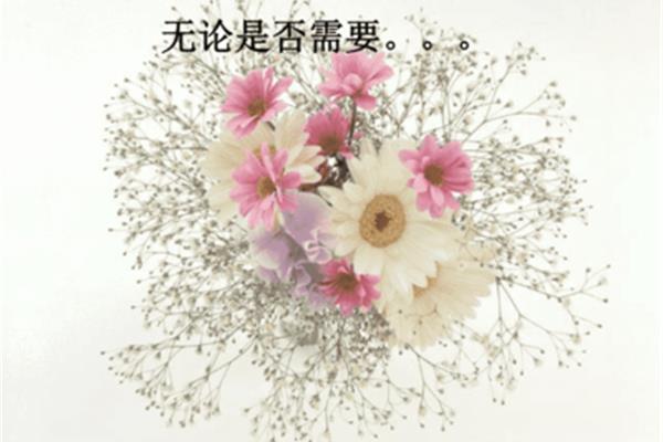 《花语大全》