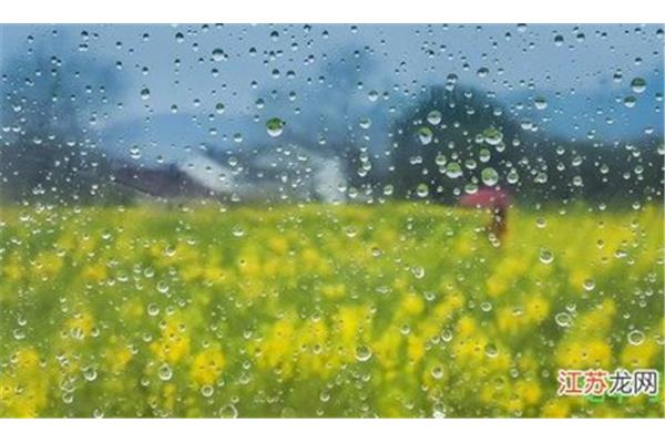 一什么春雨