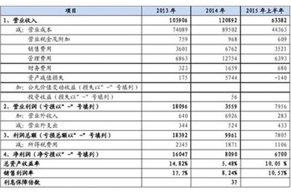 尽职调查报告