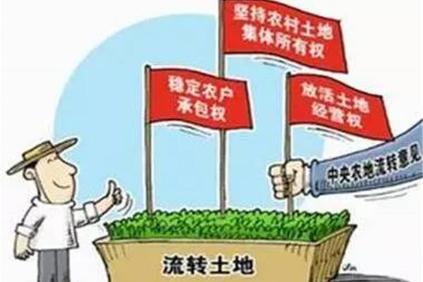 集体所有权
