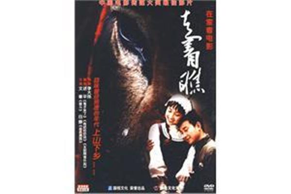 电影走着瞧