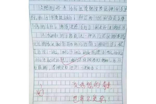一件事情的作文