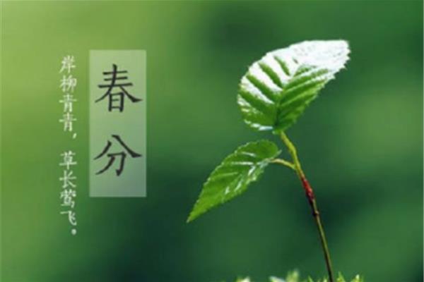 春分的诗句