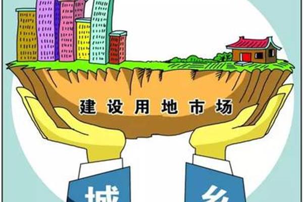 集体所有权