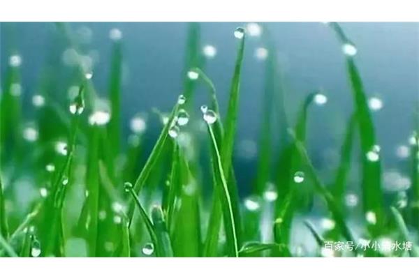 一什么春雨