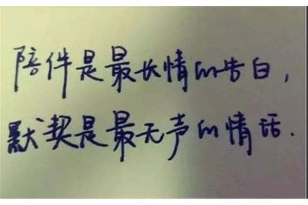 最长情的告白