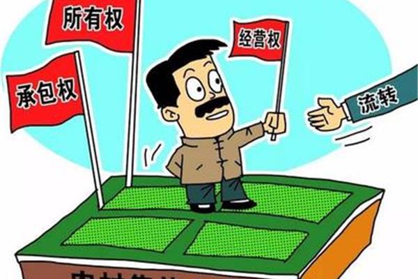 集体所有权