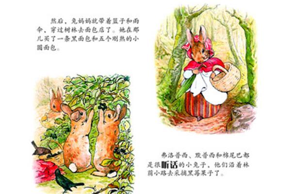 彼得兔的故事