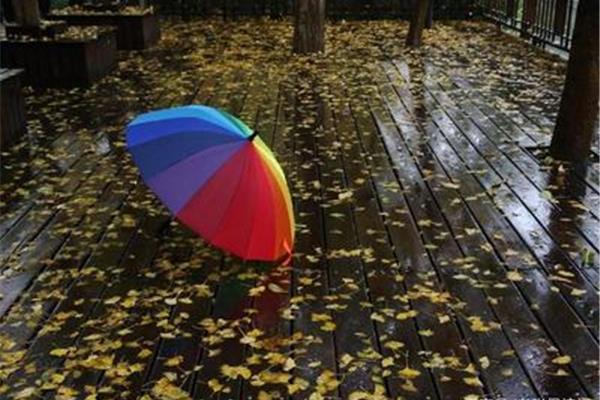 什么样的秋雨
