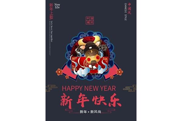 中国新年的英文