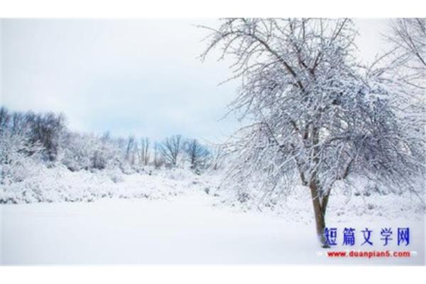 赞美雪的优美句子