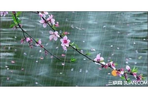 一什么春雨
