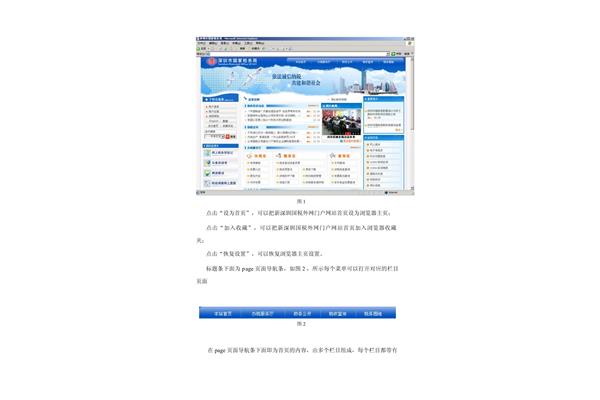 深圳国税网站