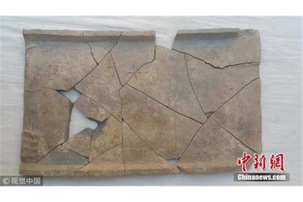 中线的性质