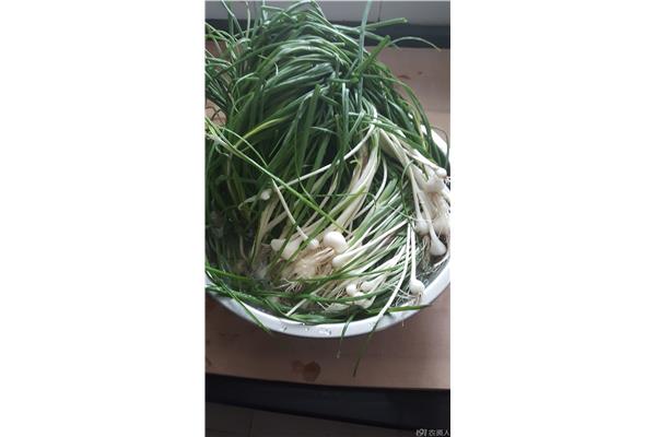 小蒜的功效与作用