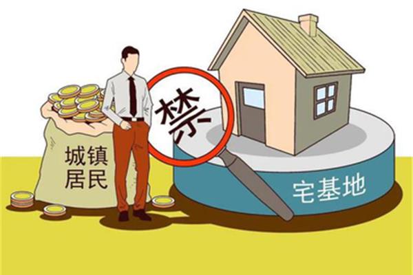 集体所有权