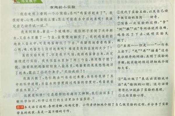 实验的作文