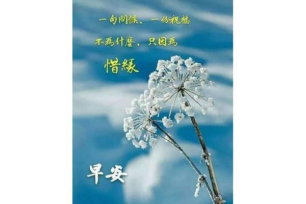 早上问候语大全