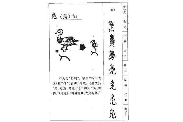 凫字怎么读