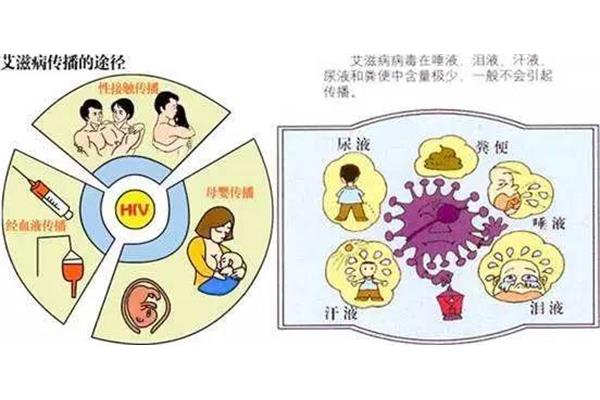什么是传播