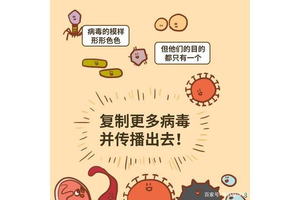 什么是传播