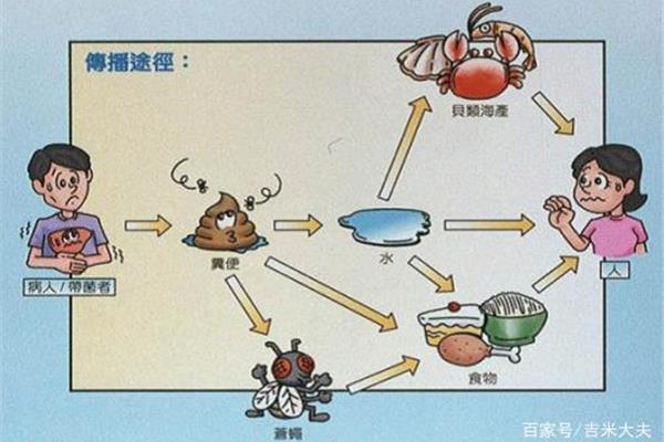 什么是传播