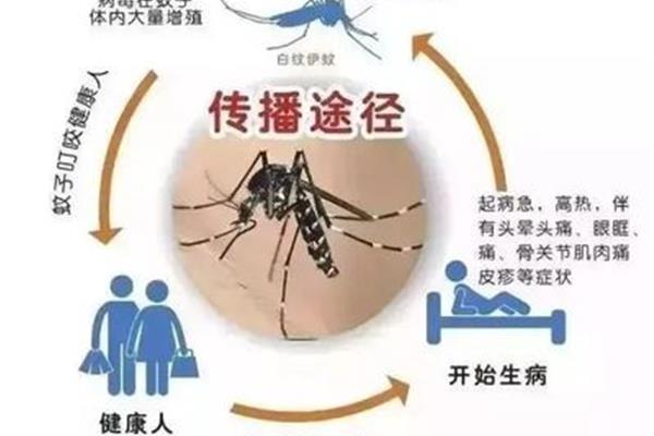 什么是传播