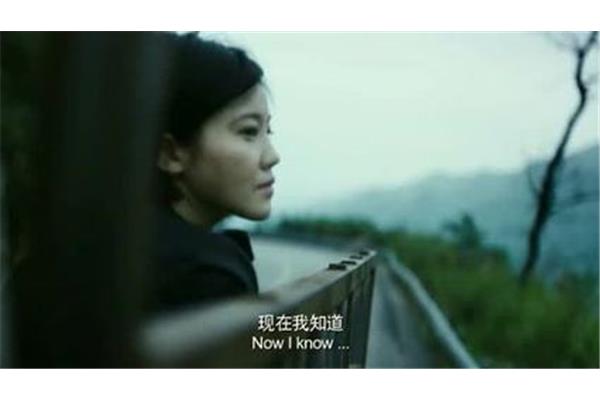 什么才是爱情