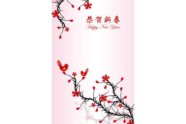 中国新年的英文