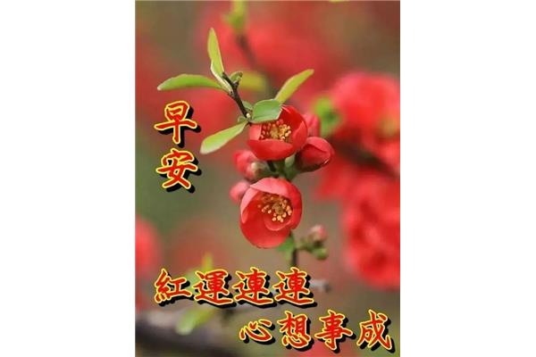 早上问候语大全