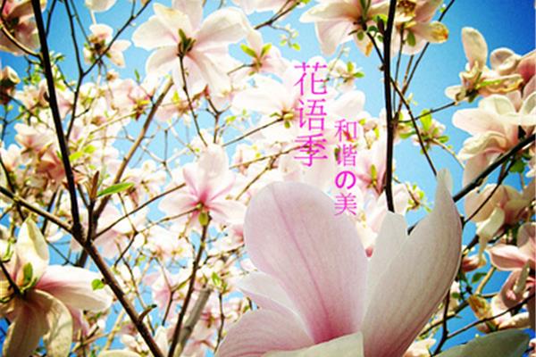 《花语大全》