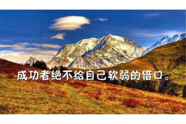 打鸡血的励志名言