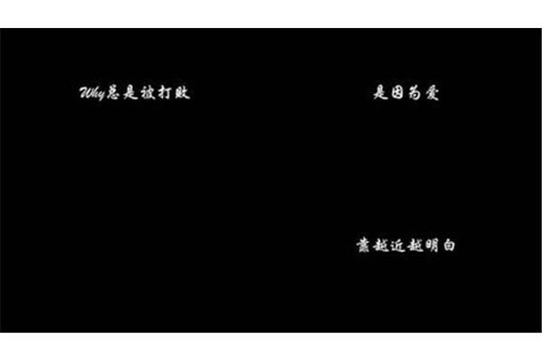 期待爱歌词