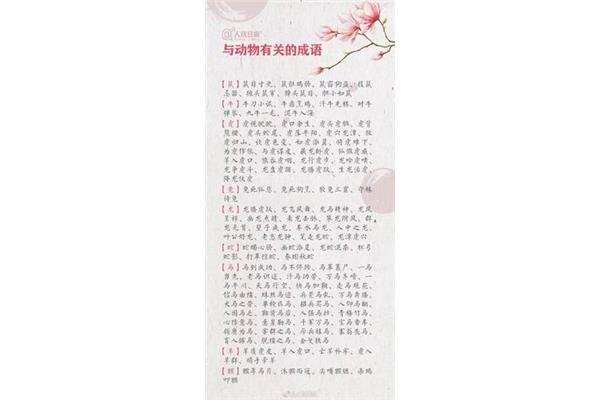 与生肖有关的成语