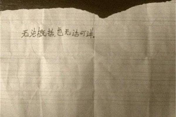 优点可以写什么