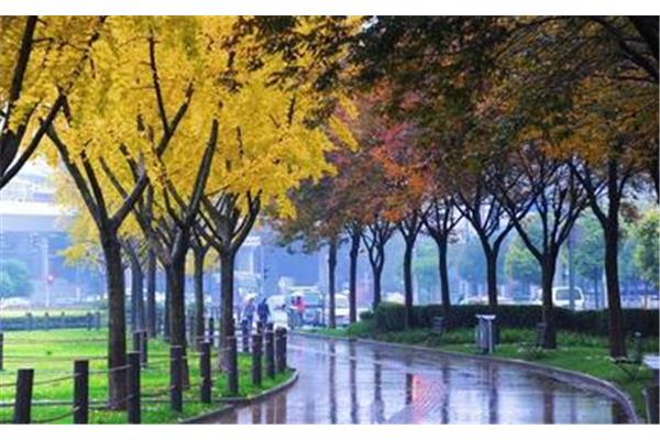 什么样的秋雨