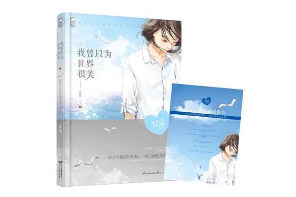 最美的意外