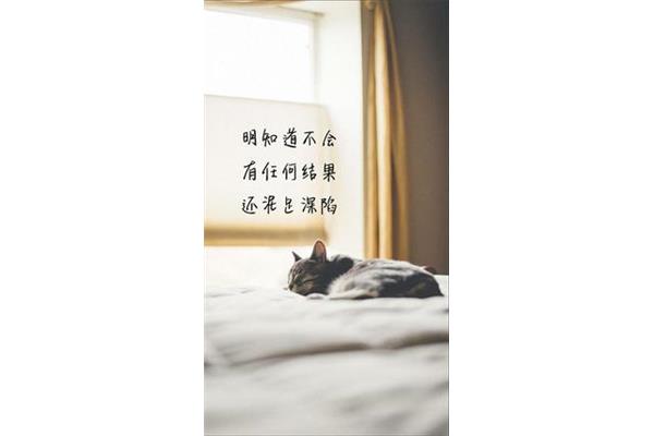 怀念时光的句子