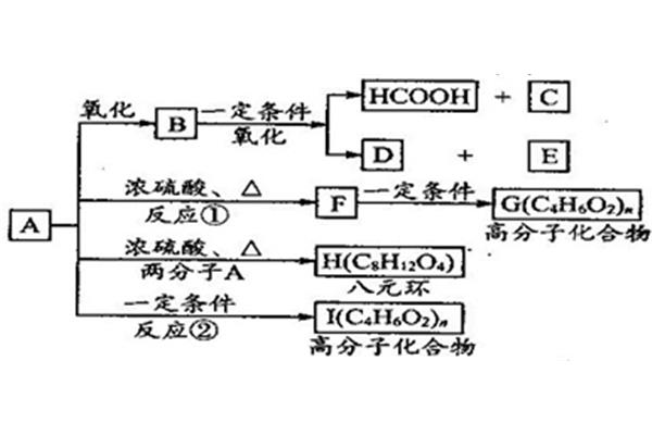 水的相对分子质量