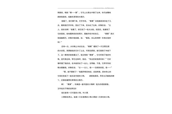 狗的说明文
