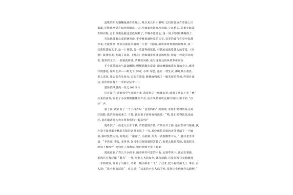 窗外的风景作文