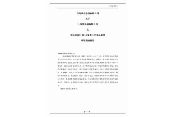 尽职调查报告