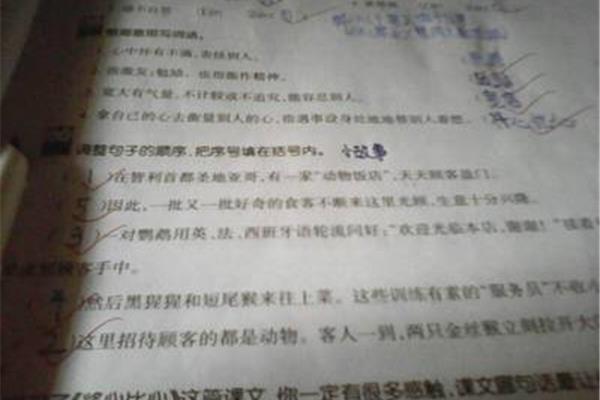 题目是什么