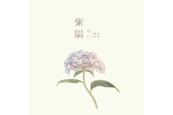 《花语大全》
