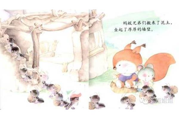 小松鼠的故事