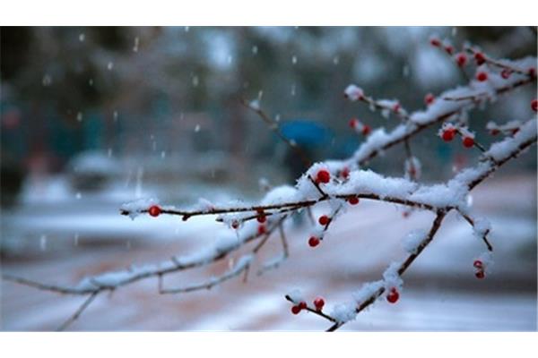 赞美雪的优美句子