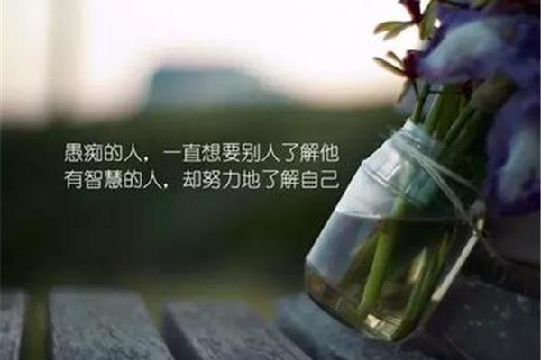 正能量的说说